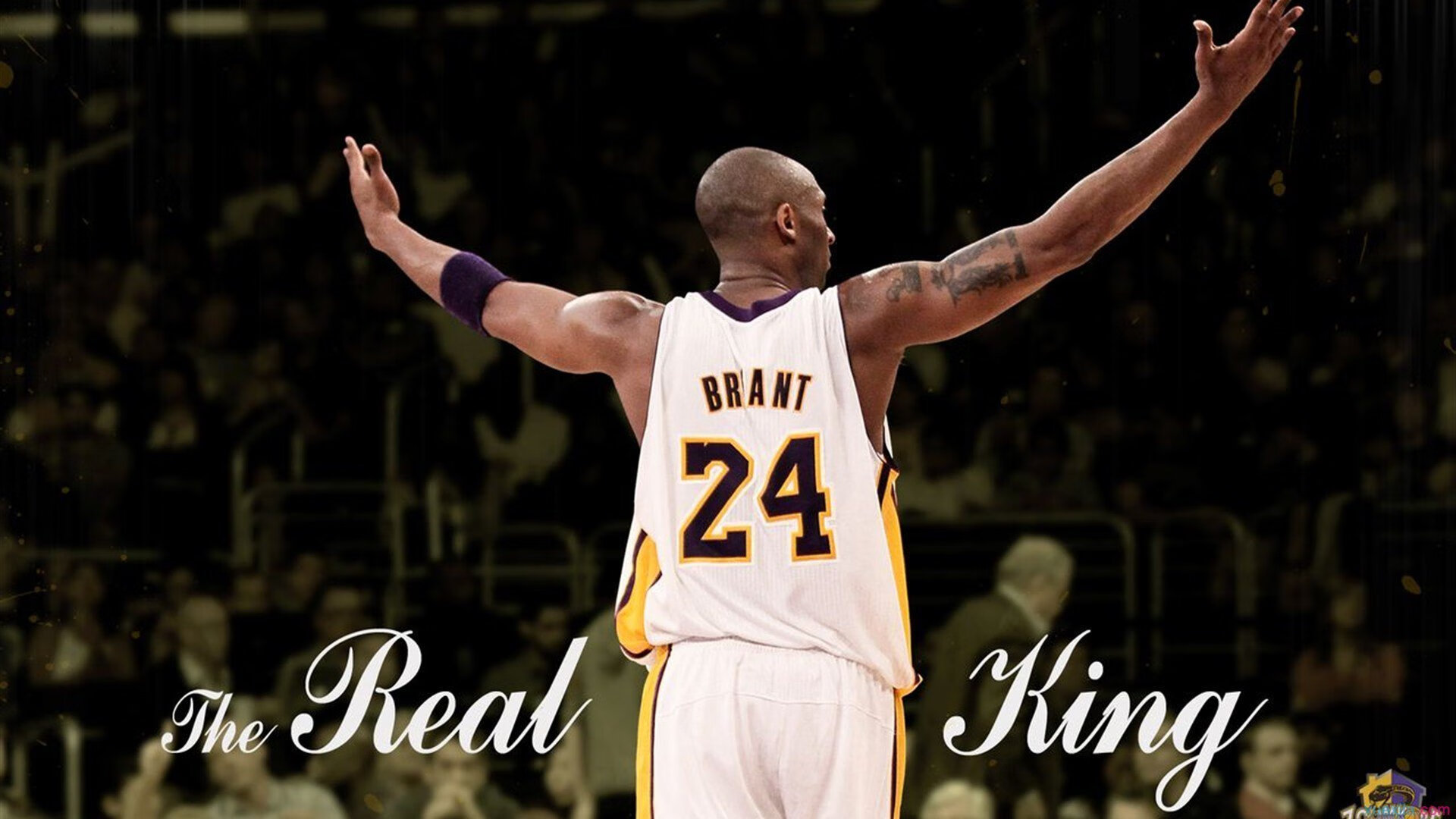 _公牛以韧性取胜，终结连败_，公牛对手